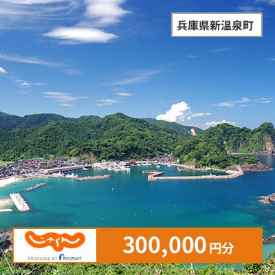 【じゃらんふるさと納税クーポン】 兵庫県新温泉町でつかえる300,000円 クーポン