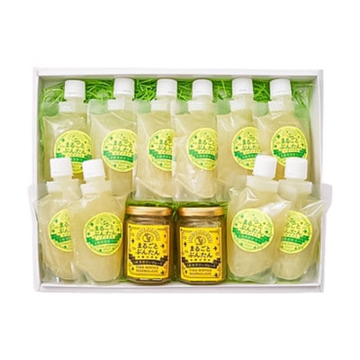 土佐文旦をふんだんに使った手作りママレードとゼリーの詰め合わせセット(ゼリー10本/ママレード2個)