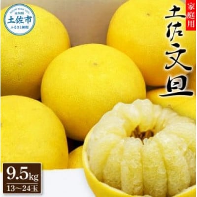 生産者直送　土佐文旦9.5kg【L～4L】家庭用