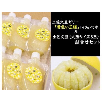 果肉果汁40%!土佐文旦ゼリー(5本)と土佐文旦(大玉3玉)セット
