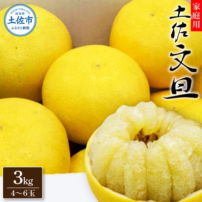 生産者直送 土佐文旦 3kg【2L～4L】家庭用