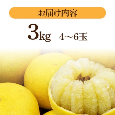 生産者直送 土佐文旦 3kg【2L～4L】家庭用