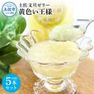 まるごとぶんたん 土佐文旦ゼリー5本セット