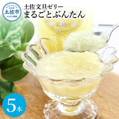 手作り 土佐文旦ゼリー まるごとぶんたん 140g×5本 詰め合わせセット