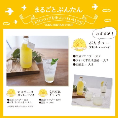 土佐文旦シロップ「まるごとぶんたん」360ml×1本