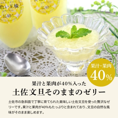 手作り土佐文旦ゼリー まるごとぶんたん 140g×10本 詰め合わせセット