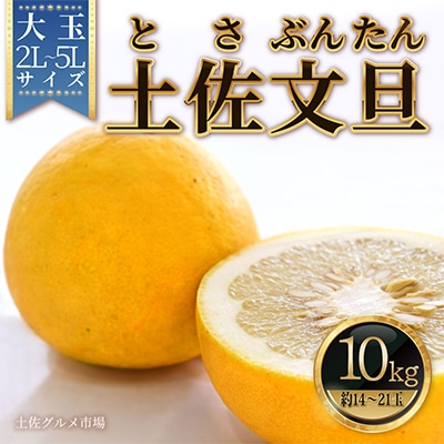 土佐文旦(ぶんたん) (大玉:2L～5L混合) たっぷり約10kg【土佐グルメ市場厳選】