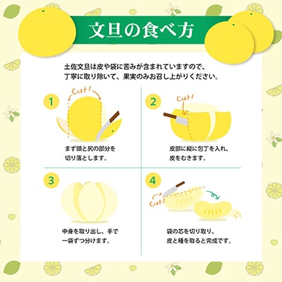 土佐文旦(ぶんたん) (大玉:2L～5L混合) たっぷり約10kg【土佐グルメ市場厳選】