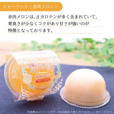 凍らせて食べるシャーベット(青肉メロン・赤肉メロン)8個入り【土佐グルメ市場厳選】