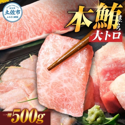 本鮪(本マグロ)　大トロ　500g