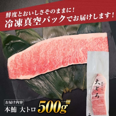 本鮪(本マグロ)　大トロ　500g
