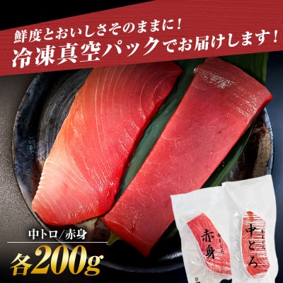 本鮪　中トロ・赤身　各200g　合せて400g　本マグロ 赤身 中トロ セット