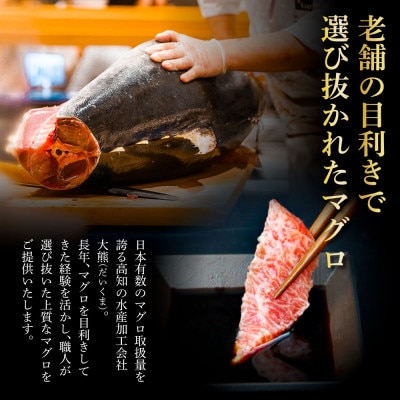 鮪　中トロ500g・赤身400g　合せて900g
