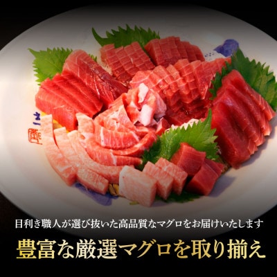 鮪　中トロ500g・赤身400g　合せて900g