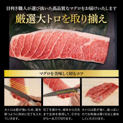 本鮪　大トロ500g、ネギトロ400g(200g×2P)　サイズ
