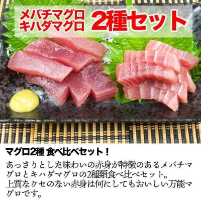 訳あり天然マグロ2種類詰合せ1.2kgセット ブロック【5635349】