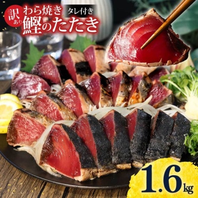 訳あり　鰹タタキ　1.6kg　数ブロックに小分け　【5635346】