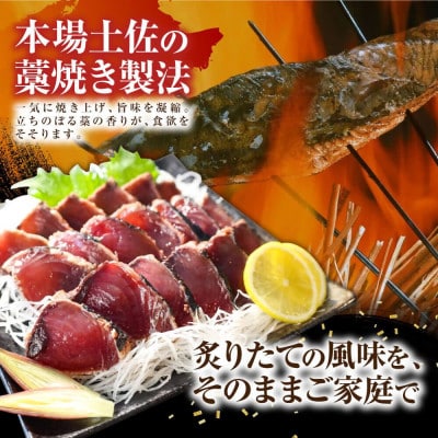 訳あり　鰹タタキ　1.6kg　数ブロックに小分け　【5635346】