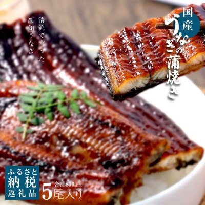 鰻蒲焼 5尾セット 高知県産 うなぎ 160g×5尾 たれ 山椒付き【5635385】