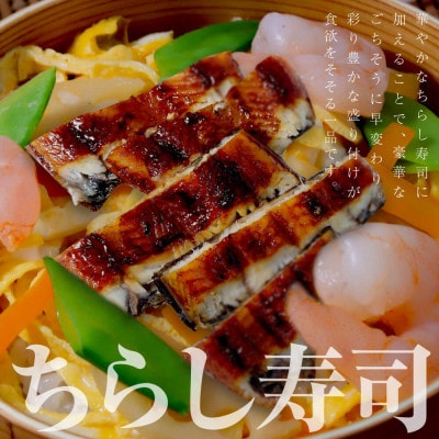 鰻蒲焼 5尾セット 高知県産 うなぎ 160g×5尾 たれ 山椒付き【5635385】