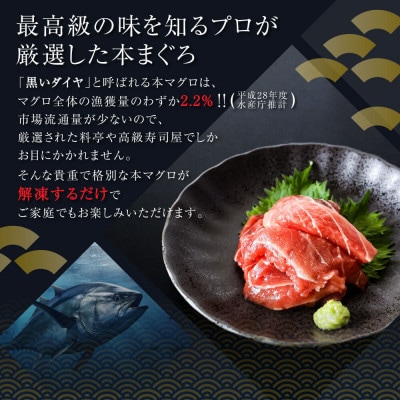 訳あり本鮪　端材切り落し　100g【No.5635449】