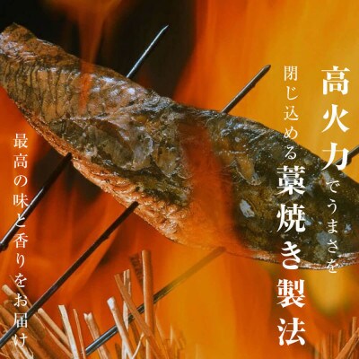 訳あり　藁焼き鰹タタキ　塩・たれ食べ比べ　4節800g　【No.5635462】
