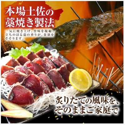 【毎月定期便】訳あり 鰹タタキ 2kg全6回