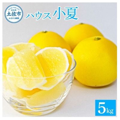 【高知県土佐市】ハウス小夏5kg