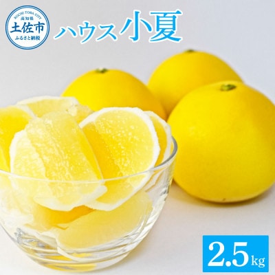 【高知県土佐市】小夏2.5kg