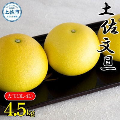 土佐文旦大玉(4L、3L)サイズ4.5kg