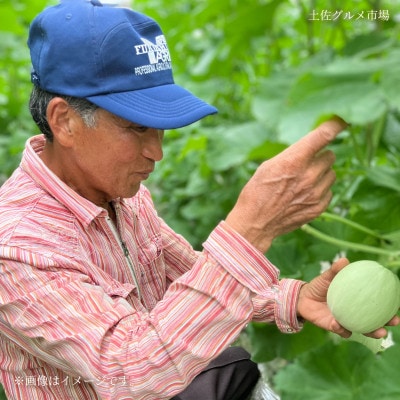 4月下旬より発送】土佐の赤肉メロン「とくみ」2玉入 約3kg