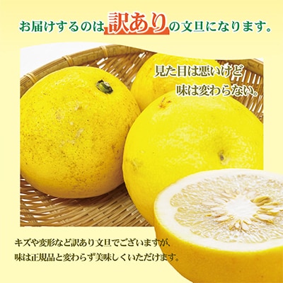 【訳あり】土佐文旦(ぶんたん)家庭用(M～5L混合サイズ)約7kg