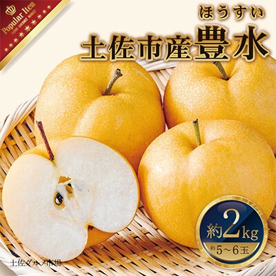高知県土佐市産　梨(豊水)　約2kg