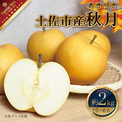 高知県土佐市産　梨(秋月)　約2kg