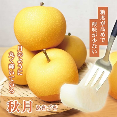 高知県土佐市産　梨(秋月)　約2kg