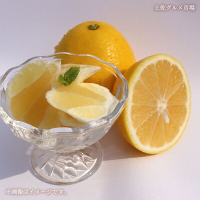 土佐の柑橘　ハウス栽培 小夏(日向夏・ニューサマーオレンジ)　約5kg
