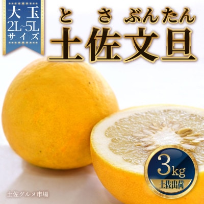 土佐文旦(ぶんたん) (大玉:2L～5L混合) 約3kg