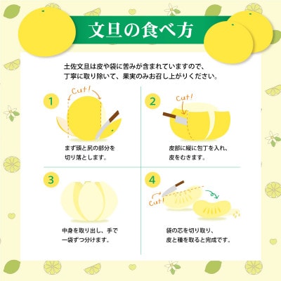 土佐文旦(ぶんたん) (大玉:2L～5L混合) 約3kg