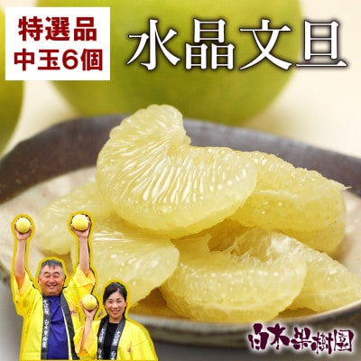 【秋の味覚】 水晶文旦約3kg 特選品贈答用(6個入り)