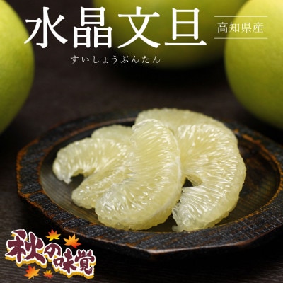 【秋の味覚】 水晶文旦約3kg 特選品贈答用(6個入り)