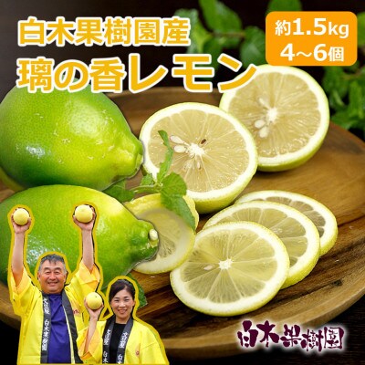 <果樹園直送> 璃の香レモン約1.5kg 白木果樹園産(4～6個入り)