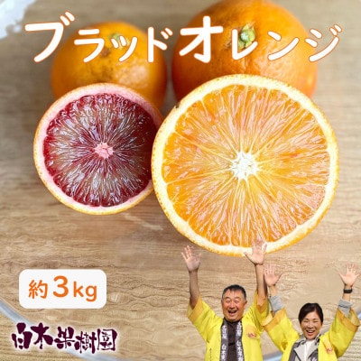 〈果樹園直送〉 白木果樹園産ブラッドオレンジ 約3kg