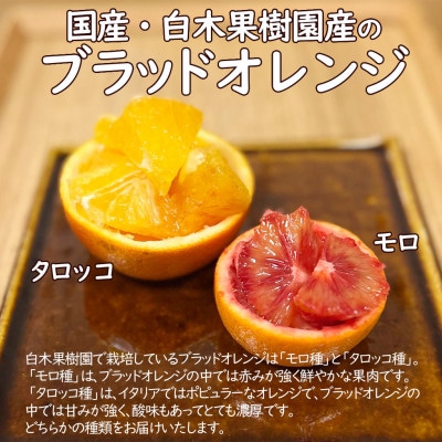 〈果樹園直送〉 白木果樹園産ブラッドオレンジ 約3kg