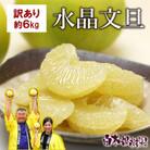 【秋の味覚】 水晶文旦 約6kg 訳ありご家庭用
