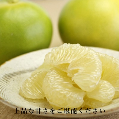【秋の味覚】 水晶文旦 訳ありご家庭用 約3kg(6～7個入り)
