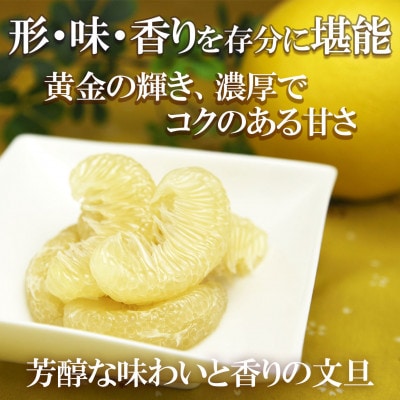 【家庭用・お得用】温室土佐文旦 約6kg(高知県産)
