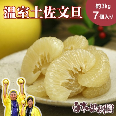 【冬の味覚】 温室土佐文旦 Lサイズ 7個入り