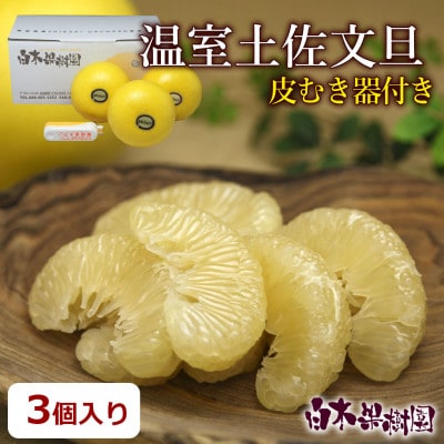 【おためしセット】温室土佐文旦 小玉3玉&皮むき器付き(高知県産)