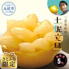 【さとふる限定】三愛果樹園の土佐文旦　　家庭用約5kg