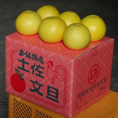 三愛果樹園の土佐文旦　家庭用10kg